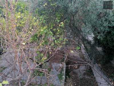 ...all�interno del quale si trova un vasto ma impraticabile giardino interno ricco di ulivi, limoni e altri arbusti